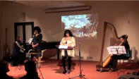 concertodidame058009.jpg